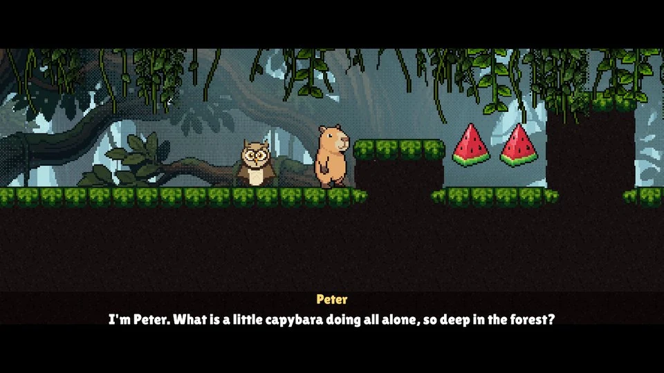 Lily the Capybara: Lily meets Peter the owl