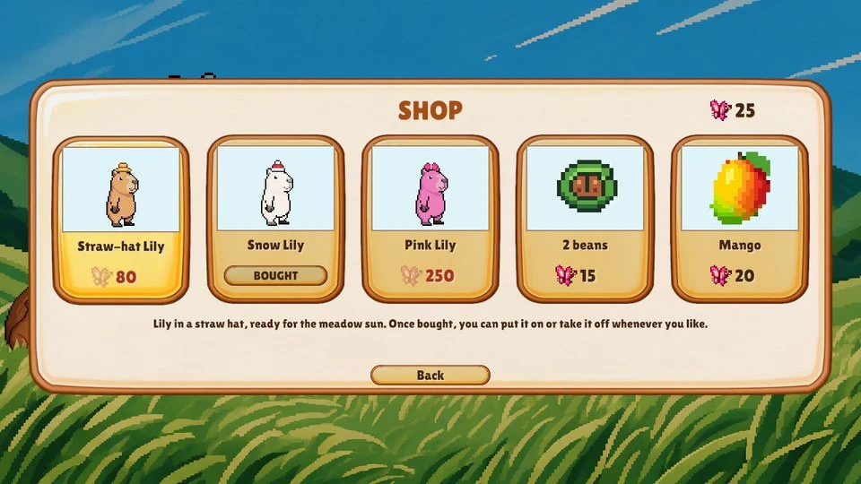 Lily the Capybara: the shop